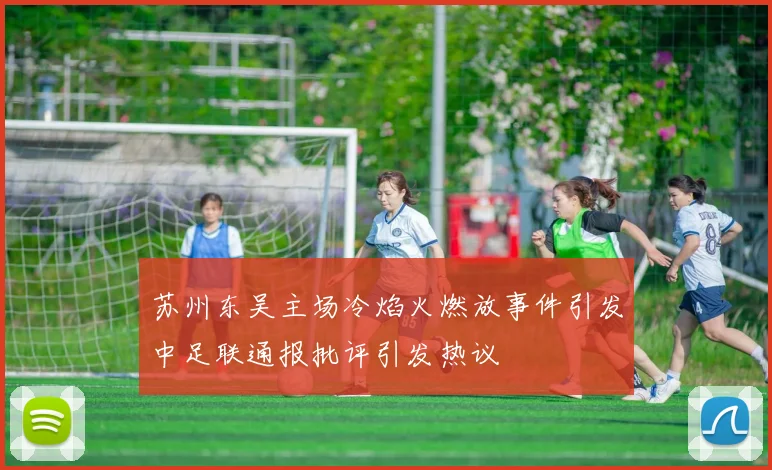 苏州东吴主场冷焰火燃放事件引发中足联通报批评引发热议