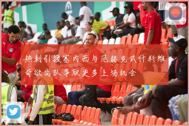 热刺引援塞内西与范赫克武什科维奇欲离队争取更多上场机会