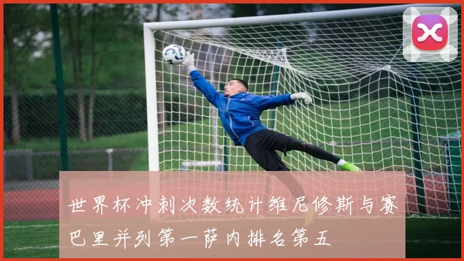 世界杯冲刺次数统计维尼修斯与赛巴里并列第一萨内排名第五