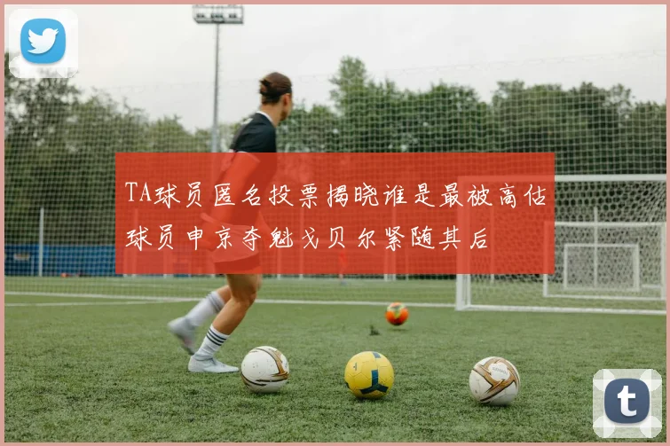 TA球员匿名投票揭晓谁是最被高估球员申京夺魁戈贝尔紧随其后